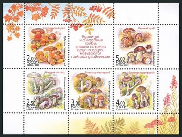Россия-2003. Грибы-двойники. Лист из 5 марок. Негашеный