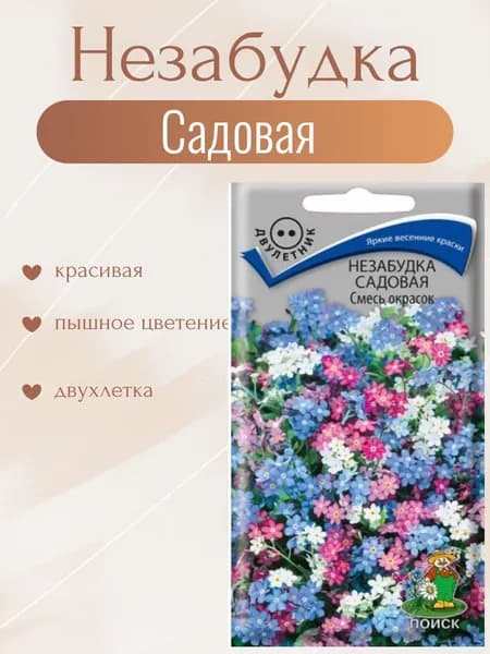 Незабудка садовая смесь окрасок
