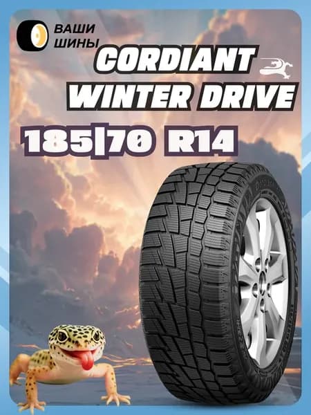 Шины зимние 185 70 R14 Winter Drive (липучка)