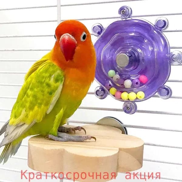 Игрушка-колесо для попугаев: деревянная, для клещевания, антискука