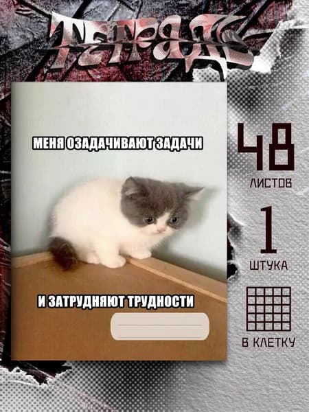 Тетрадь мем задачи и трудности, 48 листов