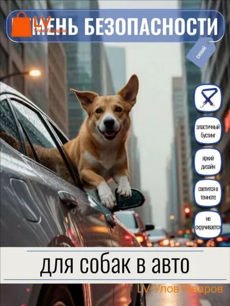 Ремень безопасности для собак