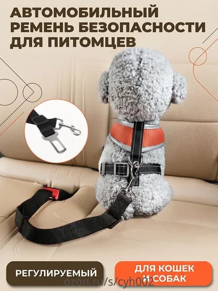 Ремень безопасности для собак в машину