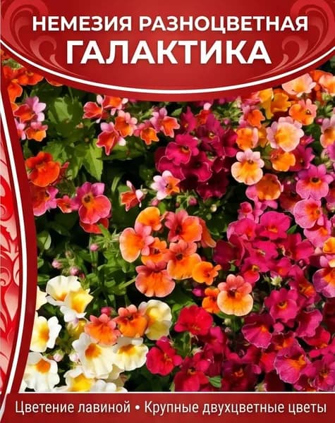 Немезия зобовидная Разноцветная Галактика, 0,05 г
