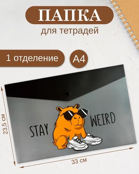 Папка для школьных тетрадей пластиковая А4 с 1 отделением на кнопке