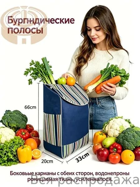 Сумка тележка