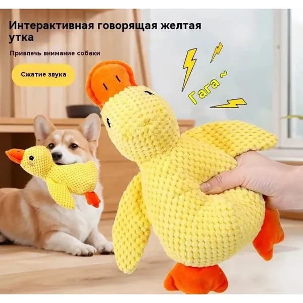 JLonИгрушка для животных