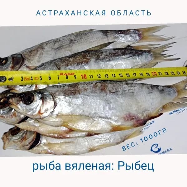 Рыба вяленая: Рыбец 1000гр