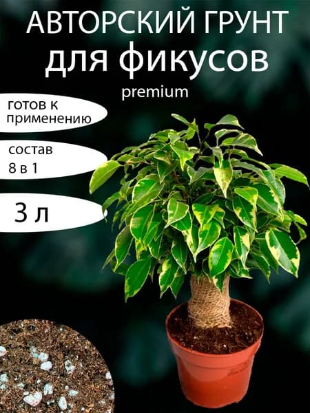 Грунт для Фикуса премиум 3 литра