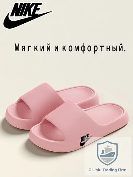 Сланцы