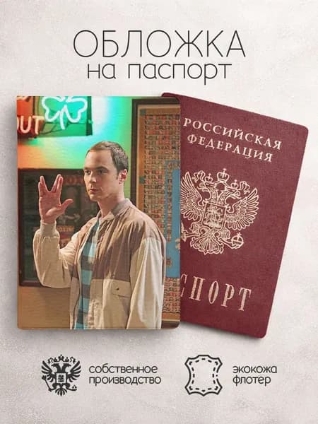 Обложка на паспорт теория большого взрыва в кафе