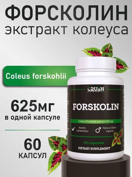Форсколин (экстракт колеус) / Coleus forskohlii, 500 мг, 60 капсул