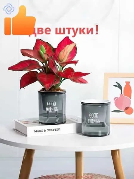 Кашпо с автополивом, 2 шт, цвет прозрачный