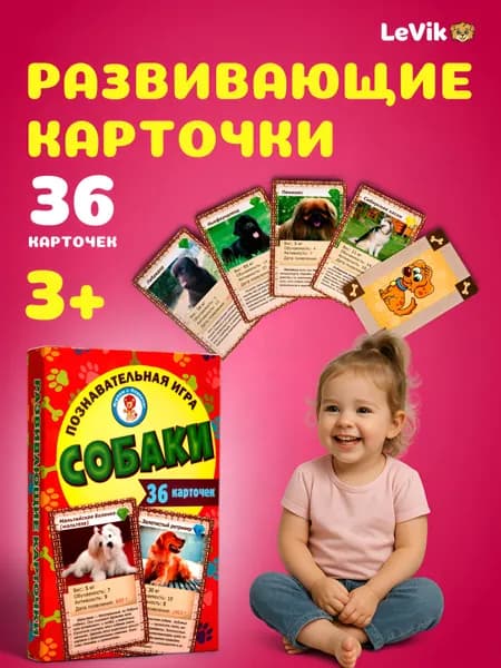 Настольные игры для детей. Карточки развивающие Домана. Собаки