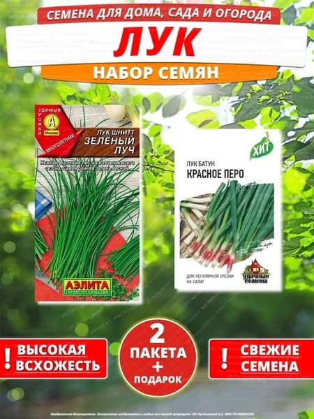 Семена лук для дома сада посадки