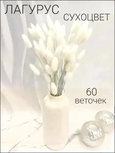 Сухоцветы Лагурус, 55 см, 100 гр, 60 шт