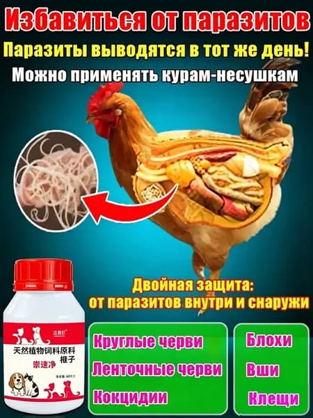 От глистов птицы