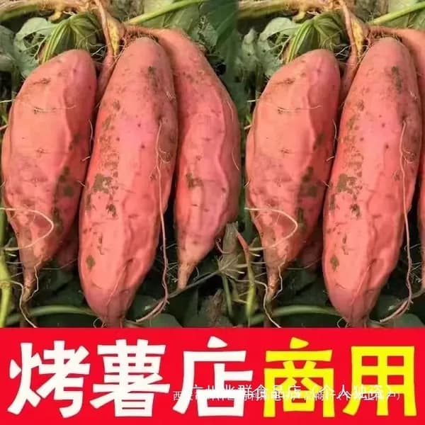 Цветки альбиции сушеные лекарственное сырье для приготовления успокаивающих чаев и настоев