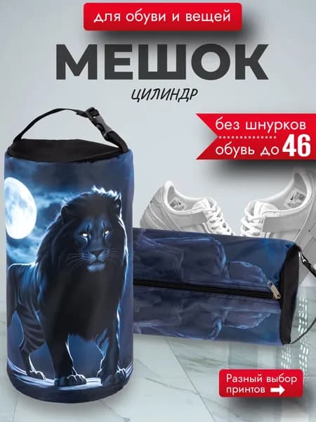 Мешок для обуви, сумка чехол для сменки школьная большая