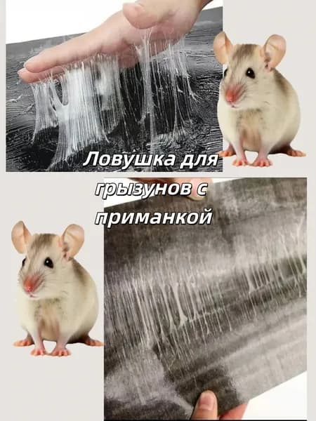 Ловушка для грызунов с приманкой