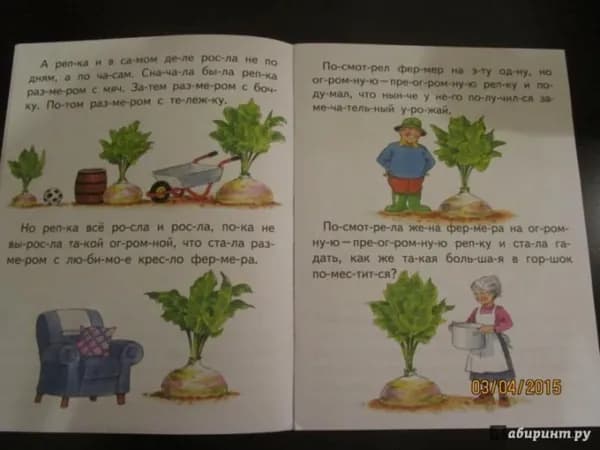 Книга Стрекоза Чудо-репка. Читаем по слогам. Тейлор Лэйни
