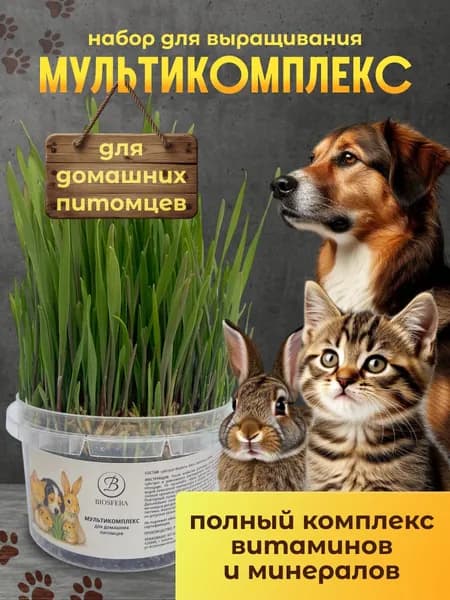 Трава для домашних животных "Мультикомплекс витаминов и минералов" (набор для выращивания)