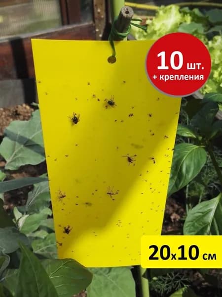 Клеевая ловушка для насекомых белокрылки мошки 20х10см 10 шт.