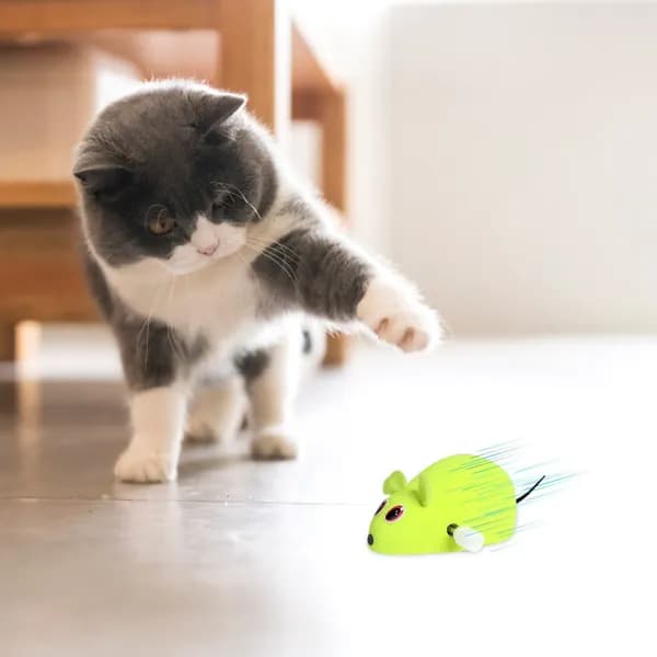 Игрушки для кошек, игрушка для собак, интерактивные и развивающие,прочные материалы,безопасные покрытия,стимулируют охотничьи инстинкты,Для дома,развлечения,активных игр и укрепления связи с питомцем
