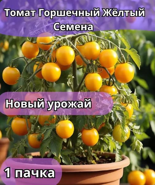 Томат Горшечный Жёлтый, семена 10 шт