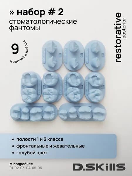 SET #2 Модели зубов для реставрации
