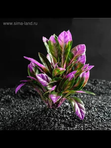 Искусственное растение для аквариума 15x15x12 см