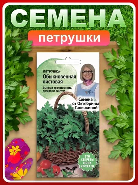 Семена пряной травы Петрушка "Обыкновенная листовая" 2 г для огорода, дачи , дома / Зелень , приправа