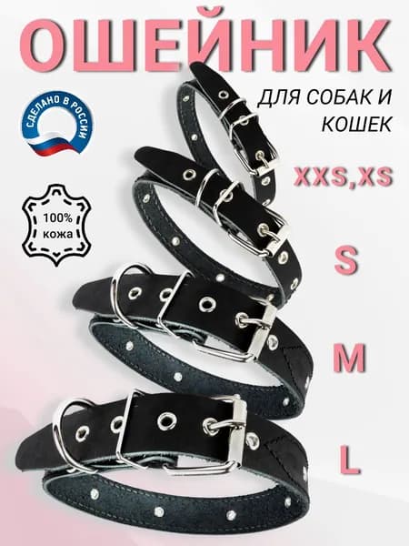 Ошейник
