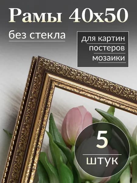 Рамы для картины 40х50 без стекла (5 шт)