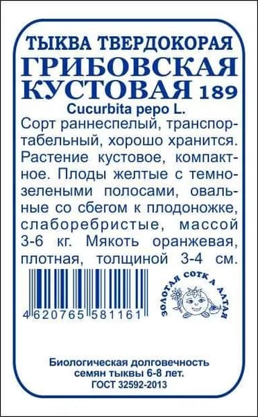 Тыква Грибовская кустовая б/п