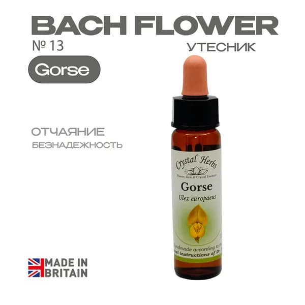Gorse (Утесник) Горс, эссенция КЛАССИЧЕСКАЯ, Бах №13 - капли 10 мл. Англия