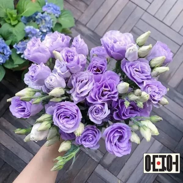 Семечки 110г. 100шт