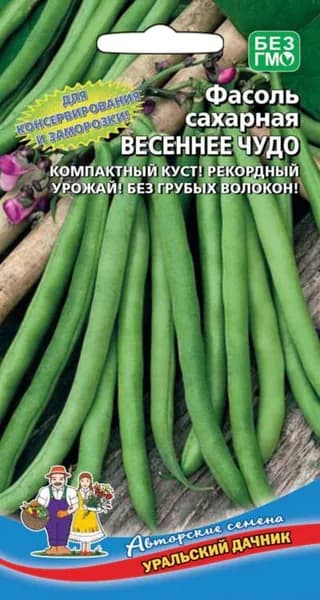 Фасоль сахарная ВЕСЕННЕЕ ЧУДО/ Раннеспелый сорт кустовой формы/ Уральский дачник