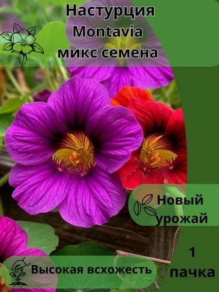 Настурция Montavia, семена 10шт