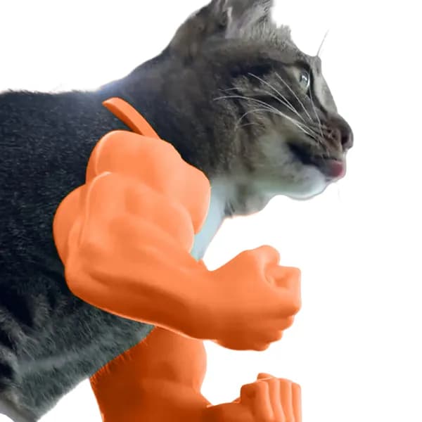 3D-печать мышечная рука для кота на шею оранжевая