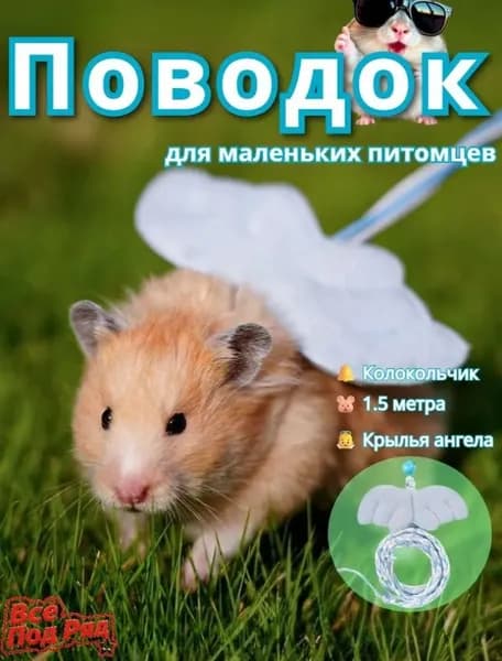 Поводок для хомяка с крыльями ангела и колокольчиком, 1.5 м, для прогулки на улице (розовый, синий, красный)