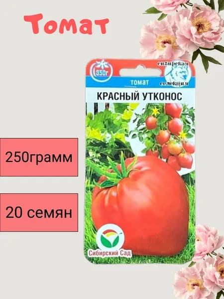 Томат красный утконос