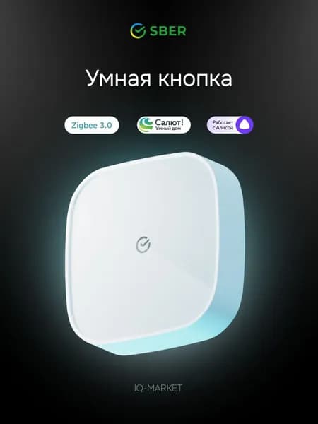 Умная кнопка Sber SBDV-00032