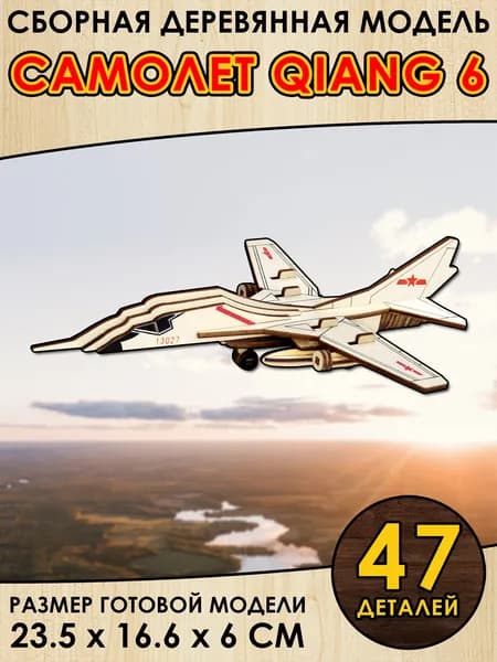 Сборная деревянная модель "Самолет Qiang 6"
