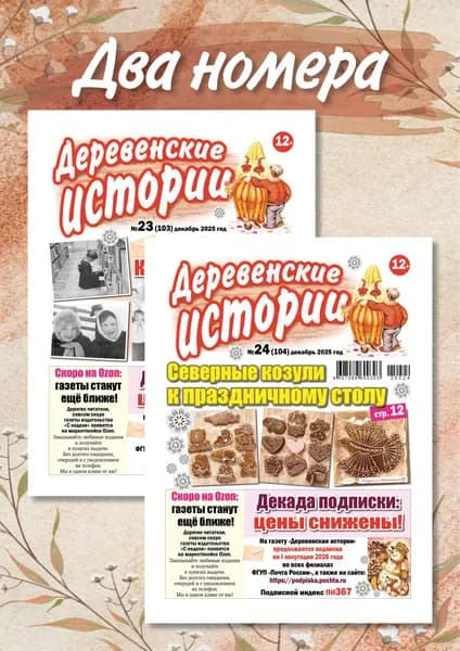 Деревенские истории. Комплект из двух номеров за декабрь 2025 г.