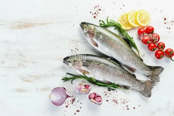 Форель радужная 2,5 кг. неразделанная с головой