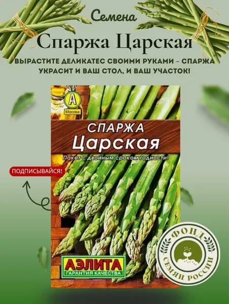 Спаржа Царская, Семена 0,5 гр.