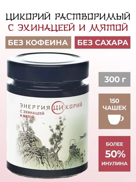 Цикорий растворимый жидкий экстракт Энергия Ци с эхинацеей и мятой 300 гр стекло