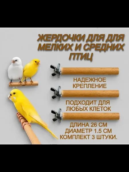 Жердочка для попугаев и птиц
