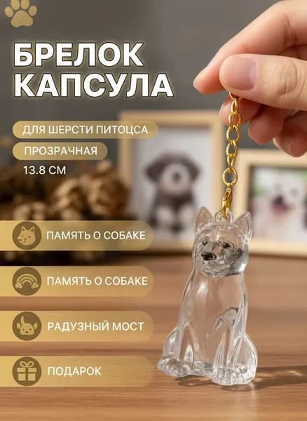 Прозрачная капсула для хранения собачьей шерсти, пластиковый контейнер-брелок ./